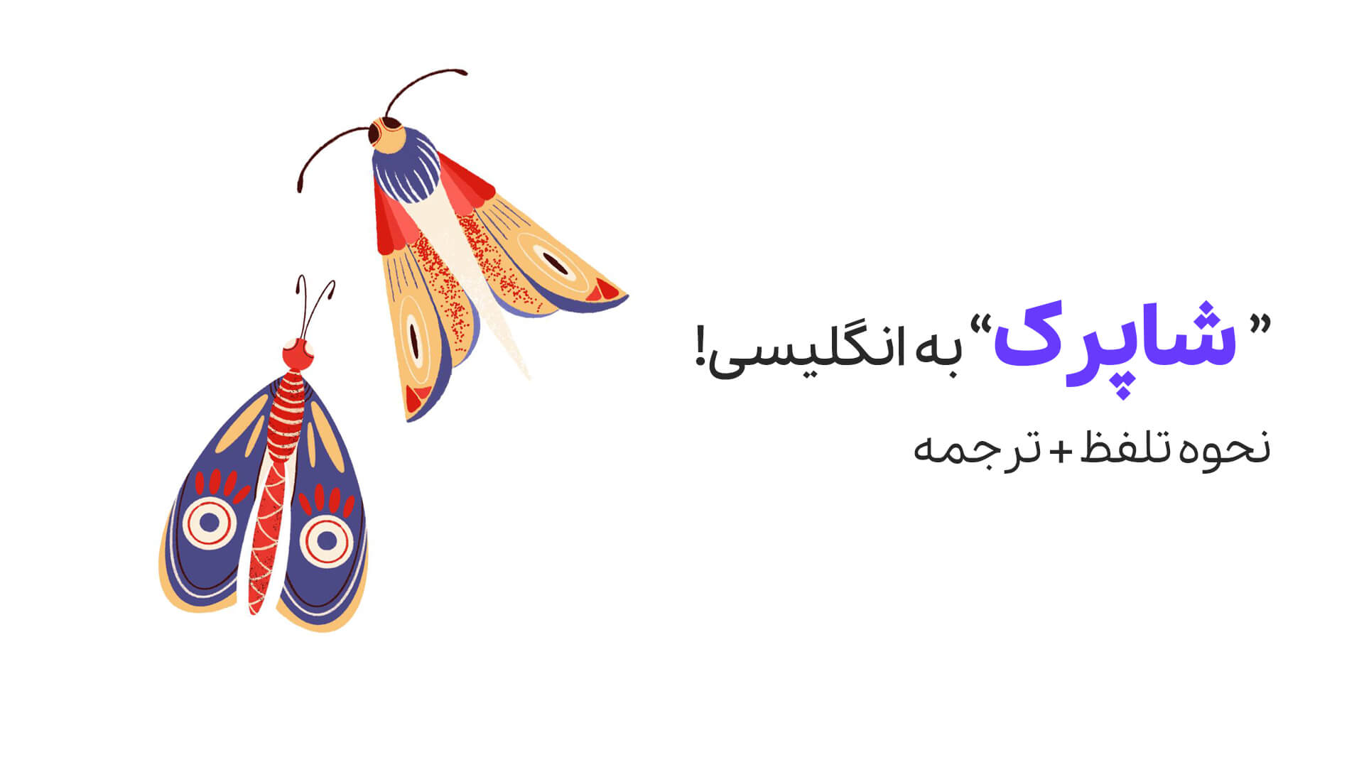 شاپرک به زبان انگلیسی | نحوه تلفظ + ترجمه