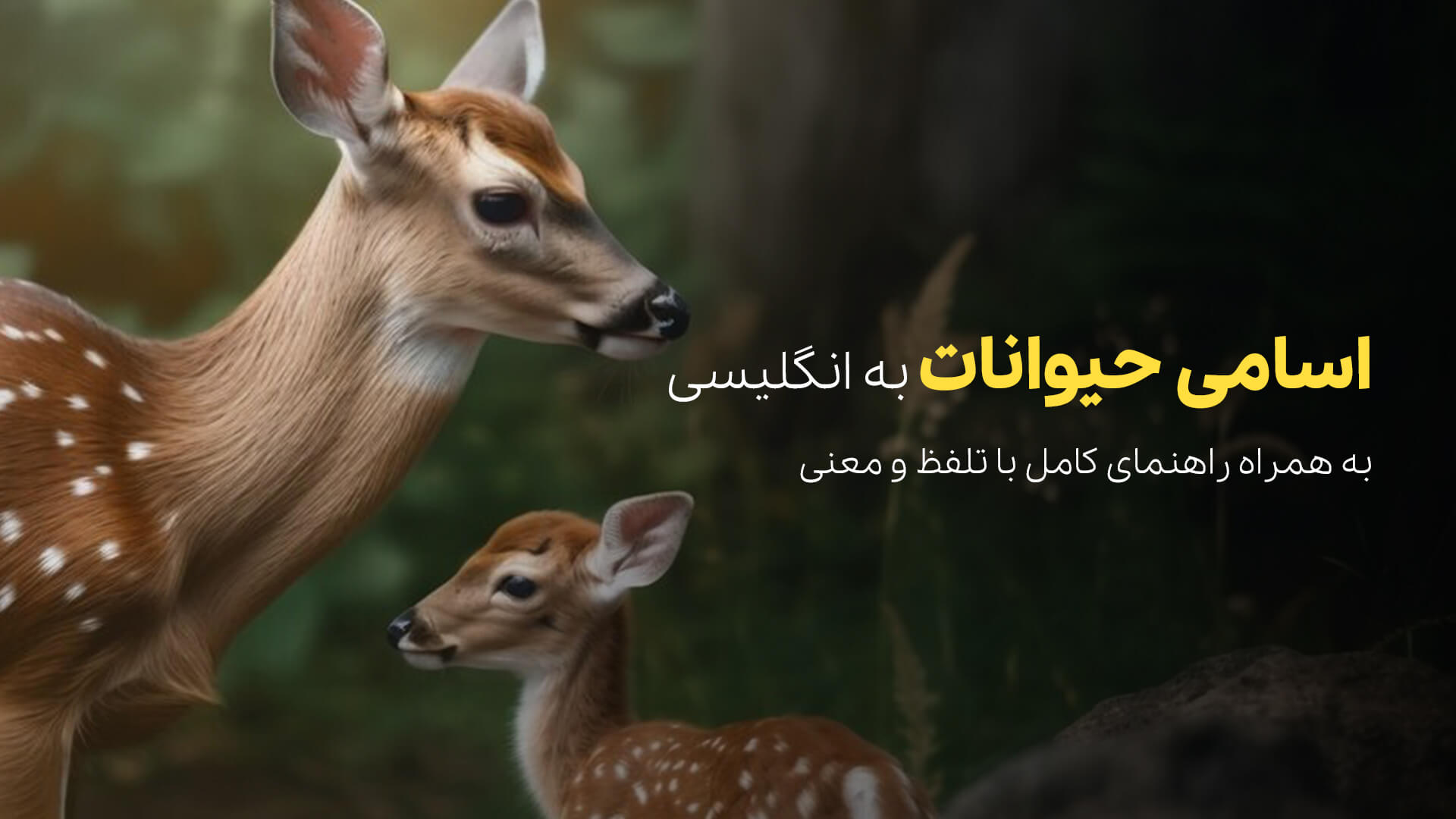 اسامی حیوانات به انگلیسی؛ راهنمای کامل با تلفظ و معنی